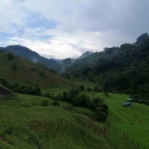 Santa Rita vízesés felé vezető út trópusi hegyi esőerdőben, Kolumbiában