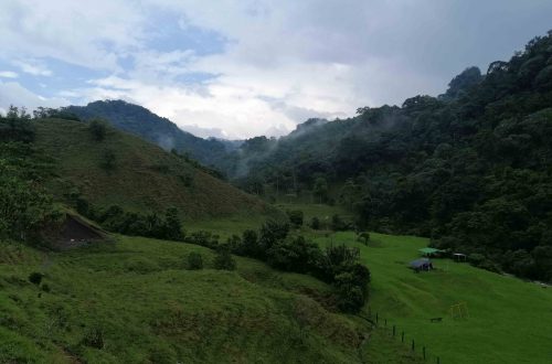 Santa Rita vízesés felé vezető út trópusi hegyi esőerdőben, Kolumbiában